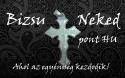 bizsu