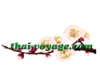 Online store Thai Voyage