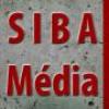 SIBA Média mozifil, DVD és Média hírportál.